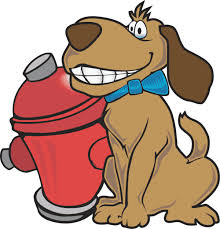 The first step in starting a pet waste removal business is to look at your local market. Belton Area Pooper Scooper Dog Poop Service Pet Butler