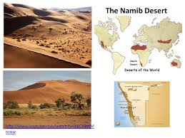 Find collection of free to download desert powerpoint templates. Desert Biome Ppt Video Online Download