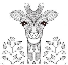 Download Hand Drawn Giraffe Background For Free Coloriage Mandala Animaux Coloriage Mandala Coloriage