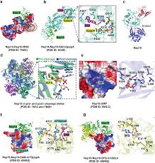 Structural biology of SARS-CoV-2: open the door for novel therapies