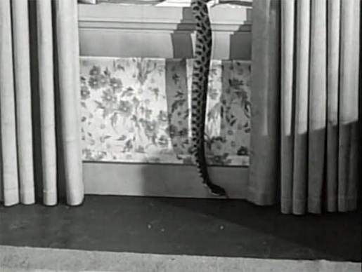 The Devil's Partner (1960)