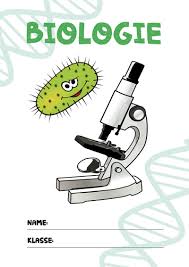 Deckblatt Biologie 1 Bio Deckblatt Deckblatt Gestalten Deckblatt