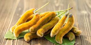 Image result for Mucuna poggei