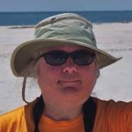 INSPIRATION IN THE ELEMENTS