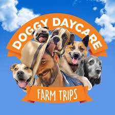 Check spelling or type a new query. Doggy Daycare Farm Trips