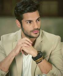 Daniel Hosseini (danielhosseini9)