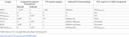 Unfortunately, there is now increasing methicillin resistance (mrsa). Plos One Diversity Of Bacteriophages Encoding Panton Valentine Leukocidin In Temporally And Geographically Related Staphylococcus Aureus