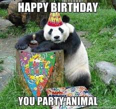You Party Animal Funny Happy Birthday Meme Funny Happy Birthday Meme Happy Birthday Brother Happy Birthday Funny