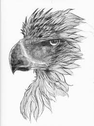 Bald Eagle Black And White Drawing Philippine Eagle By Praetorkai On Deviantart Bald Eagle Tattoos Eagle Tattoo Black Eagle Tattoo