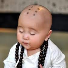 troy tran (@troytran)