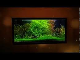 Filter aquarium air tawar, majalahikan.com | siapa yang tak ingin hewan peliharaanya sehat dan selalu menamani hari harinya? Jual Peralatan Aquarium Jakarta Youtube