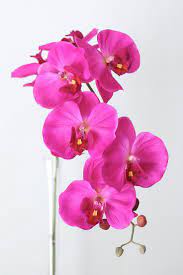 Tropical Artificial Wedding Flowers Pink Orchids Purple Flower Arrangements Phalaenopsis Orchid