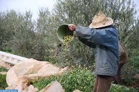 Berd Pret De 55 Mdh En Faveur De L Huile D Olive Au Maroc Map Ecology
