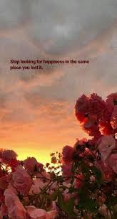 Stop Looking For Happiness In The Same Place You Lost It Wallpaper Wallpaper Aesthetic Wallpapers Flower Wallpaper Flower Quotes