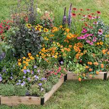 A pollinator garden is planted and designed, with specific nectar and pollen producing plants, in a way that attracts pollinating insects known as pollinators. Pollinator Gardens College Of Agriculture And Human Sciences