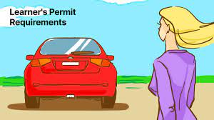 Driver S Permit Learner S Permit Requirements The 2021 Guide