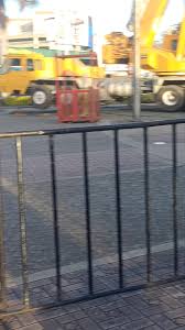 Arbol Gallo Guatemala 2024