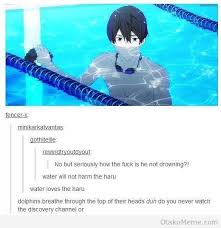 Free Memes Free Anime Iwatobi Swim Club Anime
