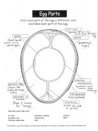 Shop blank egg carton labels that can be printed at home using your laser or inkjet printer. Egg Parts Notes