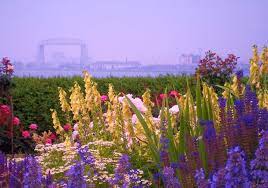 This is a list of smaller local towns that surround duluth, mn. Flowers And Fog Duluth Mn Pictures Outdoor Farmland
