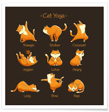 Maybe you would like to learn more about one of these? Circle Of Life Poster Juniqe