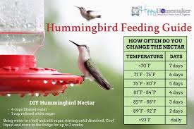 To make hummingbird food, also called nectar, start by mixing 1 part white, granulated sugar with 4 parts warm water. 18 Natural Hummingbird Food Recipe