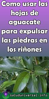 Pin En Remedios