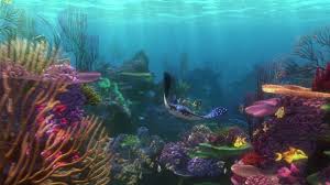finding nemo animation underwater sea ocean tropical fish adventure family comedy drama disney 1finding nemo underwater wallpaper ocean pictures underwater sea finding nemo animation underwater sea