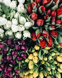 Because all of our customers are important, our professional staff is dedicated to making your. Insta And Pinterest Amymckeown5 Flowers Photography Pretty Plants Flowers Nature