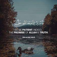 Noor Al Quran Academy Quran Recitation Quran Quotes Quran Verses