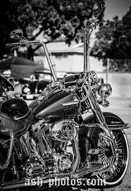 Here There Were No Hammers No Harleys Look For The Watcher Next In The Crossing Realms Parano Harley Davidson Bikes Harley Davidson Forum Harley Softail
