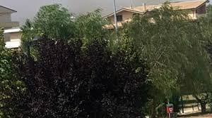 A fuoco anche la pineta dannunziana. Lljmvludnlckzm