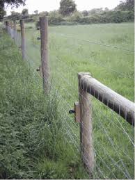 We offer innovative products that will give you peace of mind knowing at a glance that your electric fence is doing its job and working great. The Electric Fence With Live Wires At Three Different Levels Two High Download Scientific Diagram