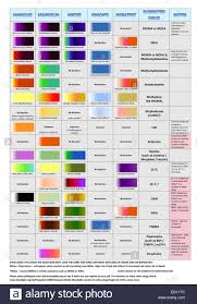 Reagent Drug Test Chart Showing How Various Narcotics React