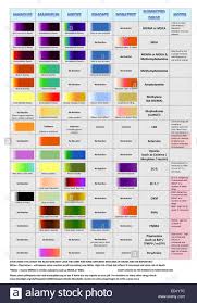 reagent drug test chart showing how various narcotics react