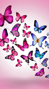 Download Wallpaper 750x1334 Butterfly Drawing Flying Colorful Background Pink Iphone 6 Hd Back Butterfly Drawing Butterfly Wallpaper Pink Wallpaper Iphone