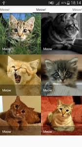 Android Icin Kedi Sesleri Kizgin Kedi Apk Yi Indir
