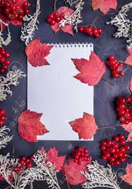 Cuadernos de anillas todos los departamentos alexa skills alimentación y bebidas amazon warehouse appstore para android audible audiolibros y podcasts exclusivos bebé belleza bricolaje y herramientas cheques regalo. Cuaderno Con Hojas De Otono Y Decoraciones Alrededor Sobre Fondo Rustico De Madera Vista Superior Cerca Espacio Para Texto Fotos Retratos Imagenes Y Fotografia De Archivo Libres De Derecho Image 48607035