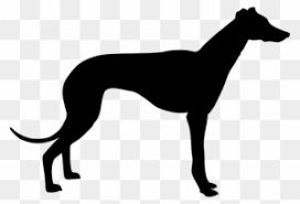 Greyhound pets of central oklahoma is an incorporated, 501(c)3 not for profit group under the national direction of greyhound pets of america. Greyhound Clipart Transparent Png Clipart Images Free Download Clipartmax