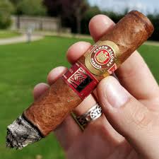 We have considered these factors in ranking them. Best Cigars For Beginners Top 10 First Cigars To Try When Starting Out