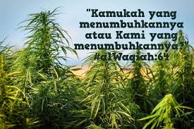 Contact tenang is good on messenger. Tenang Is Good Photos Facebook