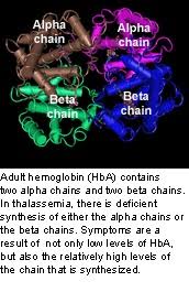 Thalassemia - Genes and Disease - NCBI Bookshelf