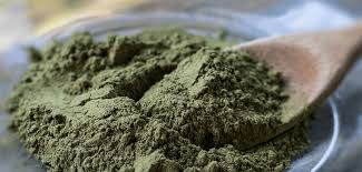Image result for Kratom