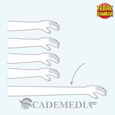 Maybe you would like to learn more about one of these? Kunci Jawaban Tebak Gambar Level 19 Nomor 1 20 Beserta Gambarnya Lengkap Cademedia