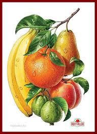 54b23c299943b0e02808eb2d700cf0b5 Jpg Dessin Fruits Fleurs Et Fruits Fruits Et Legumes