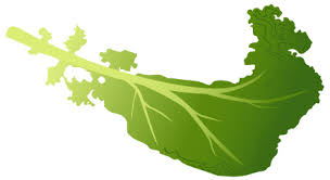 View Kale.jpg Clipart - Free Nutrition and Healthy Food Clipart