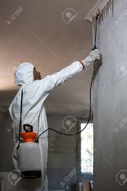 Empire state pest control will protect your home against common household pests. Man Doing Pest Control On A Wall At Home Stock Photo Picture And Royalty Free Image Image 54927776