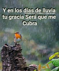 Deuteronomio 11 14 El Dara A Vuestra Tierra La Lluvia A Su Tiempo Lluvia Temprana Y Lluvia Tardia Para Que Recojas Tu Grano Tu Mosto Y T Gods Love God Dios