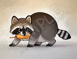 Pin On Racoon Reference