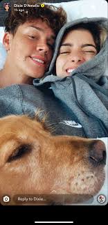 Icymi, bryce basically blindfolded noah and had him listen to music. Dixie D Amelio Noah Beck Snap Story Dixie Famous Girls Cute Couples